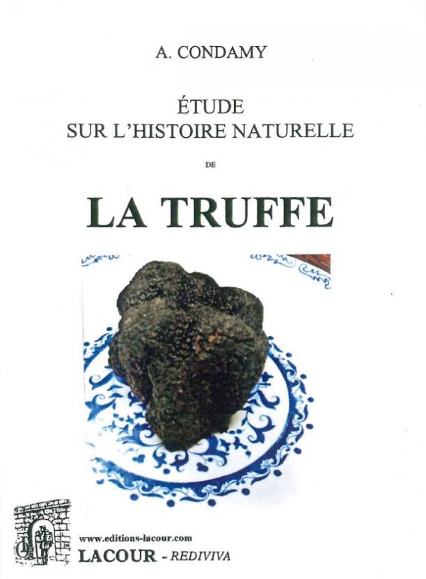 Livrehistoirenaturelletruffe1