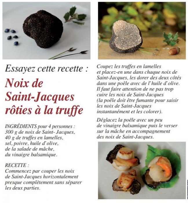 Noixdestjacquetruffe