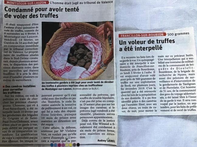 Voleurs de truffes interpeles en fevrier 2020